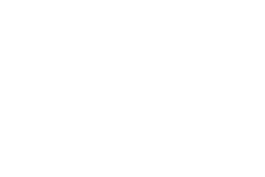 Caamaño Consulting | 2017